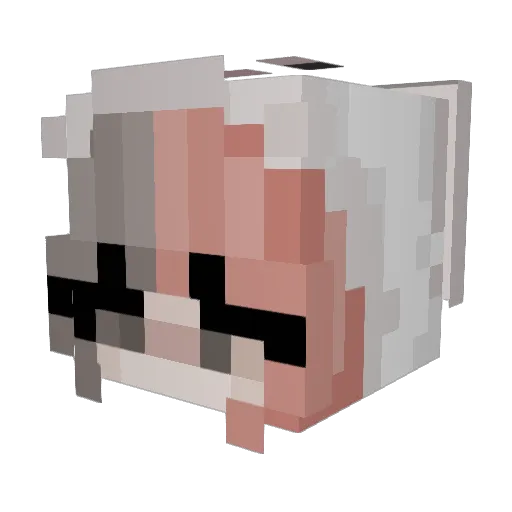 JustOkly101 Minecraft avatar head, 3D render