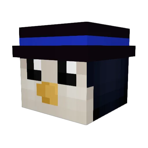 JustPenguuu Minecraft avatar head, 3D render