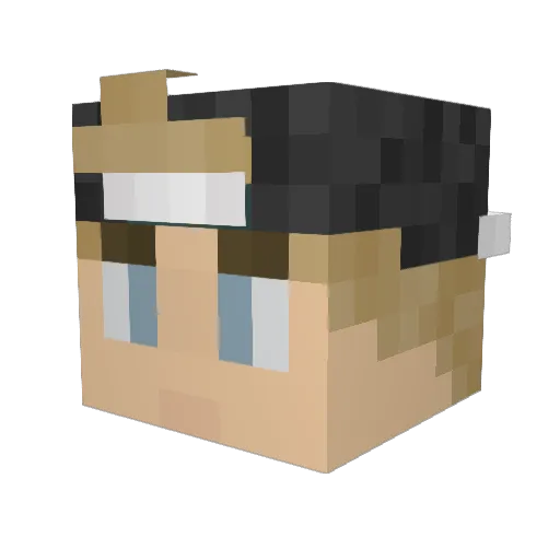 JustRaidenRain Minecraft avatar head, 3D render