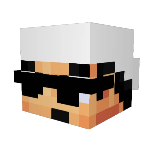 JustRice0 Minecraft avatar head, 3D render