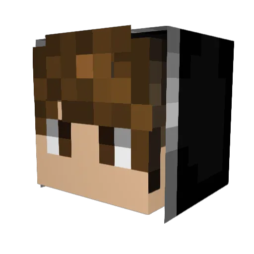 JustRobinsky Minecraft avatar head, 3D render