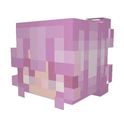 JustSaMa Minecraft avatar head, 3D render