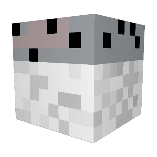 JustSalty69 Minecraft avatar head, 3D render