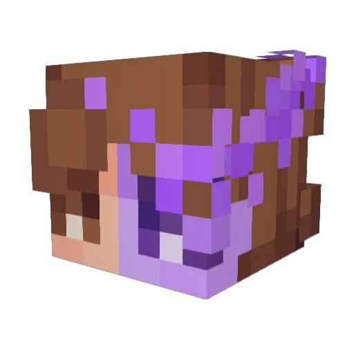 JustSean_YT Minecraft avatar head, 3D render