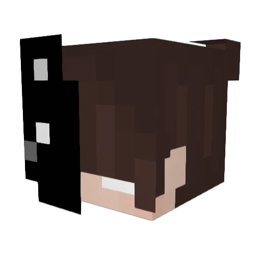 JustSomeDummy Minecraft avatar head, 3D render