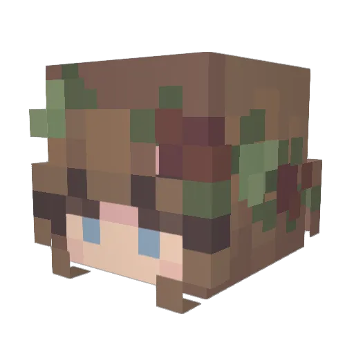 JustTeener_ Minecraft avatar head, 3D render