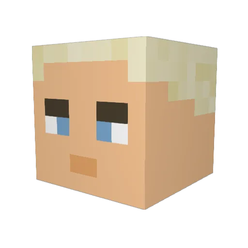JustTim_ Minecraft avatar head, 3D render