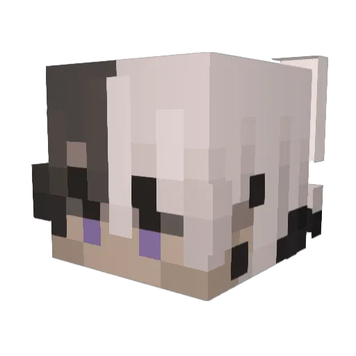 JustUnBiber Minecraft avatar head, 3D render