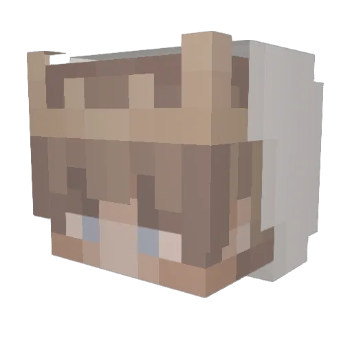 JustVili Minecraft avatar head, 3D render
