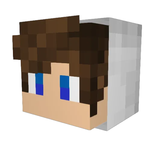 JustWatch5_TR Minecraft avatar head, 3D render