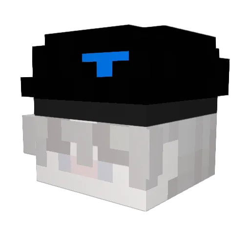 JustZoro6876 Minecraft avatar head, 3D render