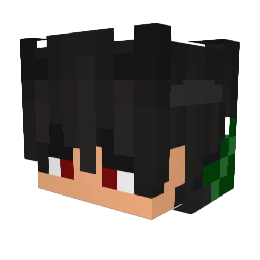 Just_115 Minecraft avatar head, 3D render