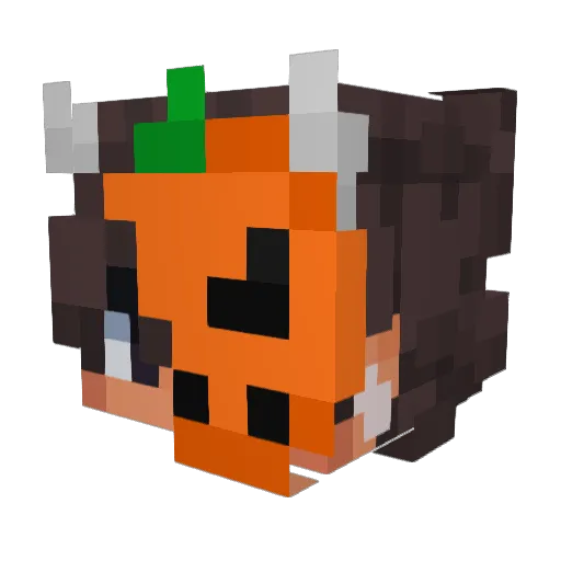 Just_A_Spider11 Minecraft avatar head, 3D render