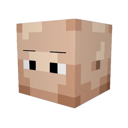 Just_BecauseNR Minecraft avatar head, 3D render