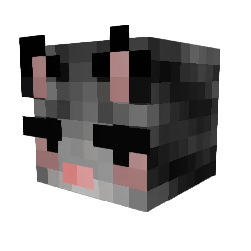 Just_Darko_ Minecraft avatar head, 3D render