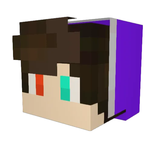 Just_Flynn Minecraft avatar head, 3D render