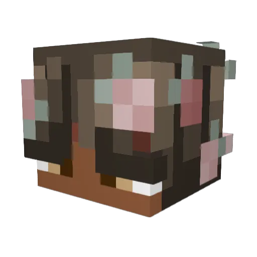 Just_Jamama Minecraft avatar head, 3D render