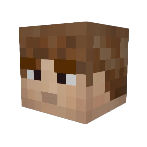 Just_Jayden Minecraft avatar head, 3D render