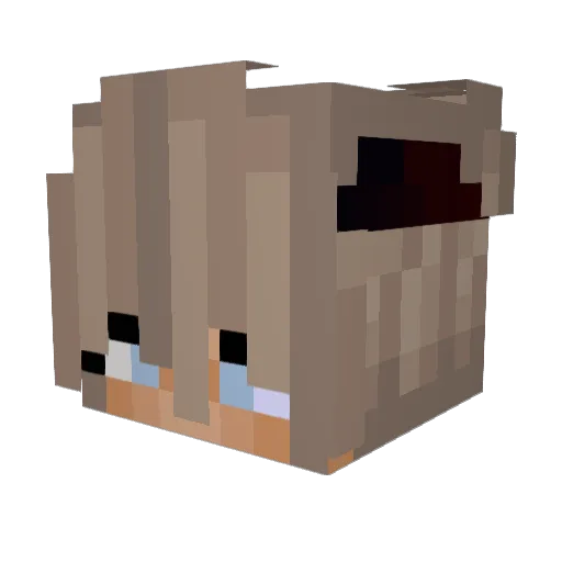 Just_Jelly_08 Minecraft avatar head, 3D render