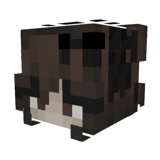 Just_Jinx_It Minecraft avatar head, 3D render
