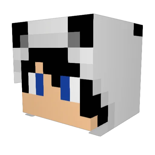 Just_Kimz Minecraft avatar head, 3D render