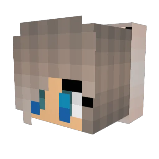Just_NovaNL Minecraft avatar head, 3D render
