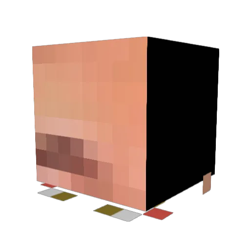 Just_Soup Minecraft avatar head, 3D render
