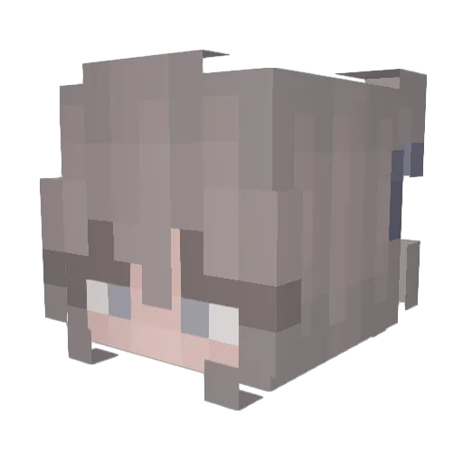Just_There_ Minecraft avatar head, 3D render