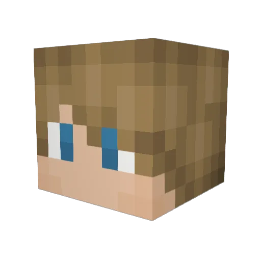 Just_an_Essej_Me Minecraft avatar head, 3D render