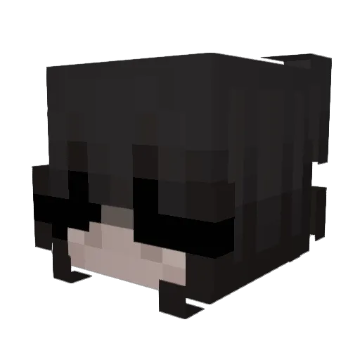 Just_bout4 Minecraft avatar head, 3D render