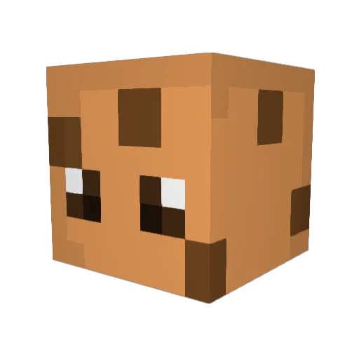 Just_cookies Minecraft avatar head, 3D render