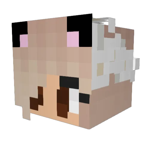 Justadreamer101 Minecraft avatar head, 3D render