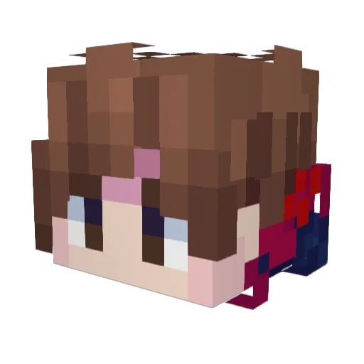 Justan556 Minecraft avatar head, 3D render