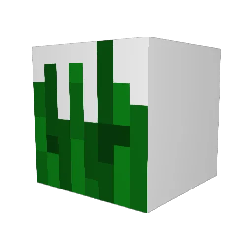 Justcarrots456 Minecraft avatar head, 3D render