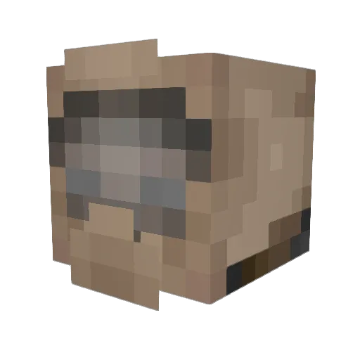 JusticeXI Minecraft avatar head, 3D render