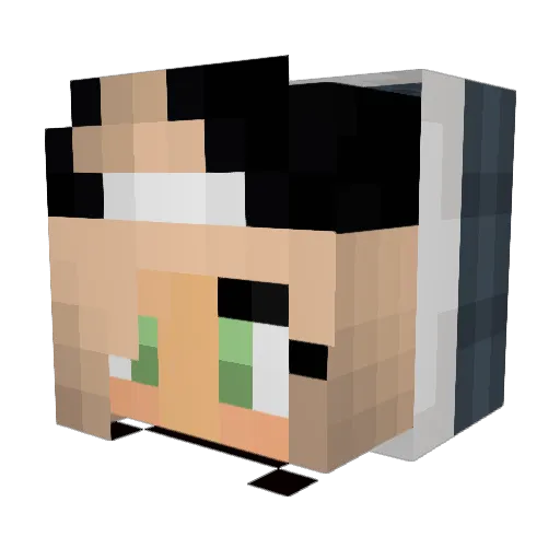 Justicetheking Minecraft avatar head, 3D render