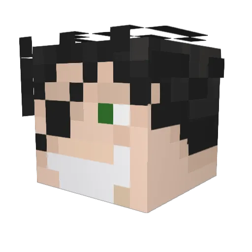 Justin11 Minecraft avatar head, 3D render