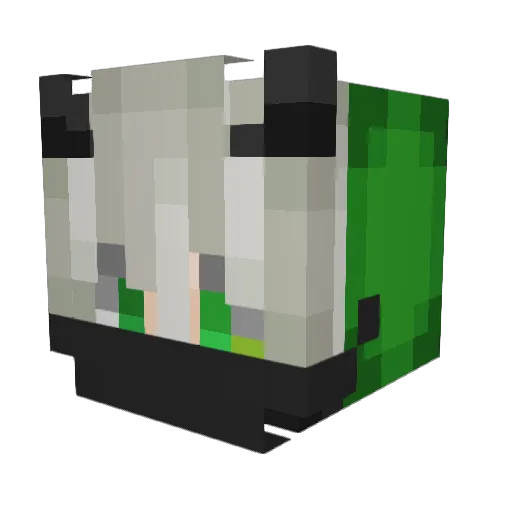 Justin17997 Minecraft avatar head, 3D render