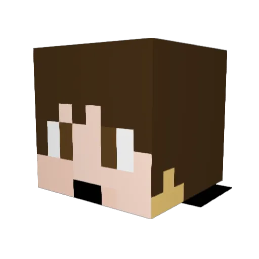 Justin17_ Minecraft avatar head, 3D render