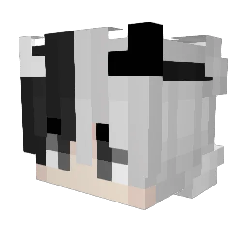 Justin2Life Minecraft avatar head, 3D render