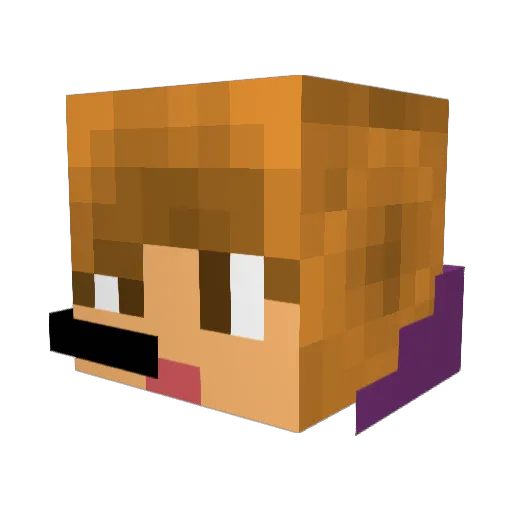 JustinBieber1231 Minecraft avatar head, 3D render