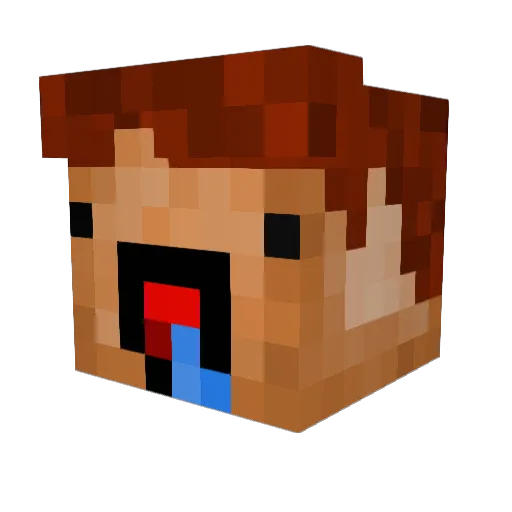 JustinBobr Minecraft avatar head, 3D render