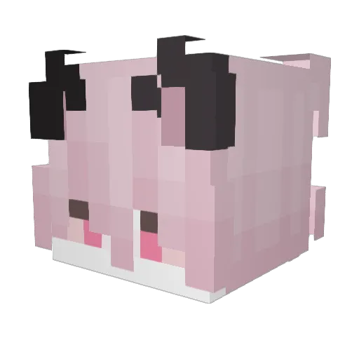 JustinRay7 Minecraft avatar head, 3D render