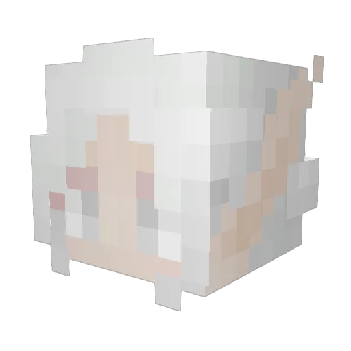 Justin_Time256 Minecraft avatar head, 3D render