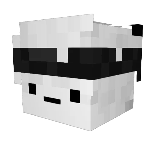 Justindlc12 Minecraft avatar head, 3D render