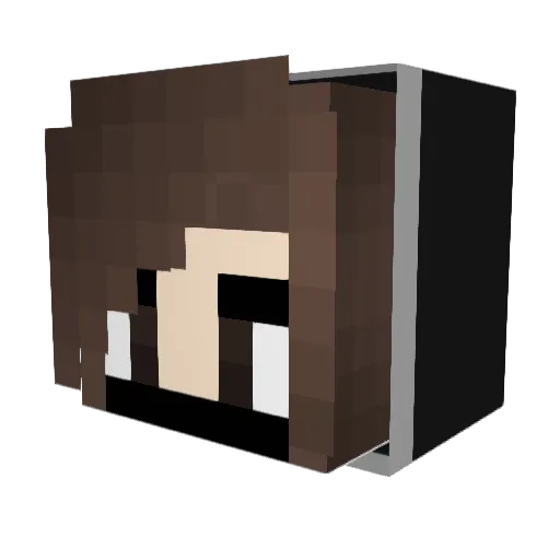Justine974 Minecraft avatar head, 3D render