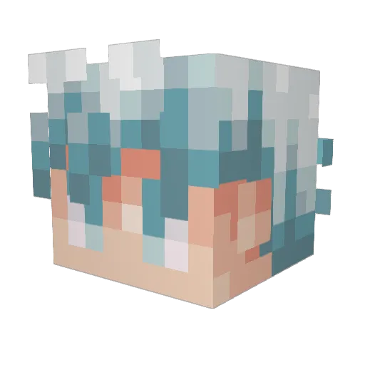 Justint_t_t Minecraft avatar head, 3D render