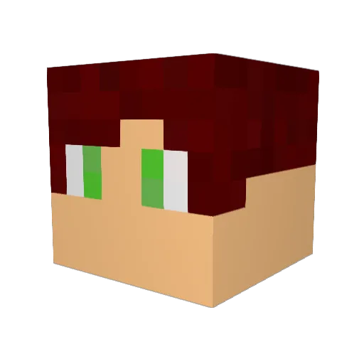 Justinvd0203 Minecraft avatar head, 3D render