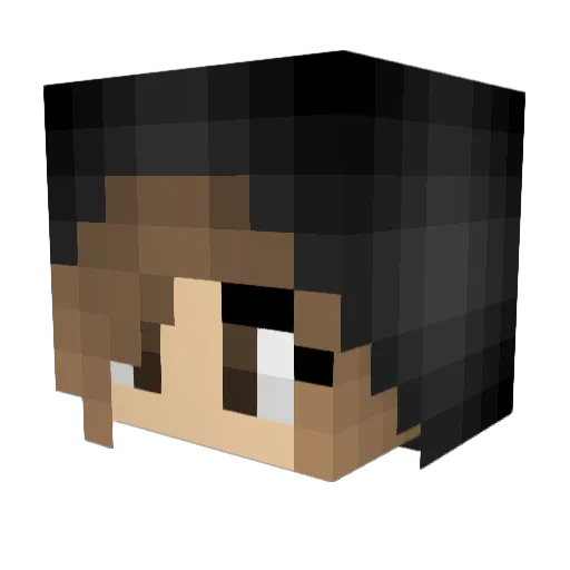 Justme_x Minecraft avatar head, 3D render