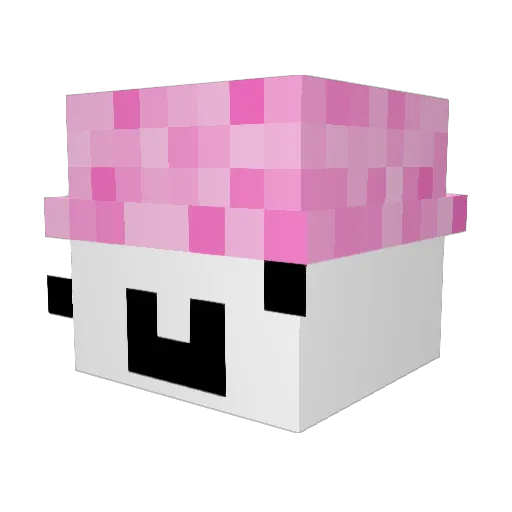 Justus_LOL Minecraft avatar head, 3D render